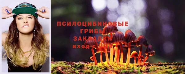 a pvp Алексин