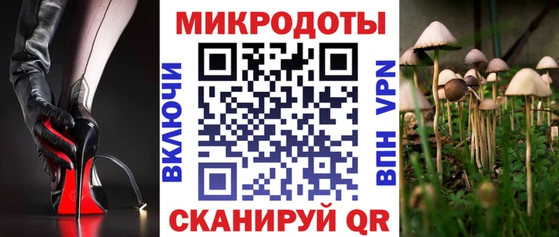 наркотики  Бакал  Галлюциногенные грибы MAGIC MUSHROOMS 